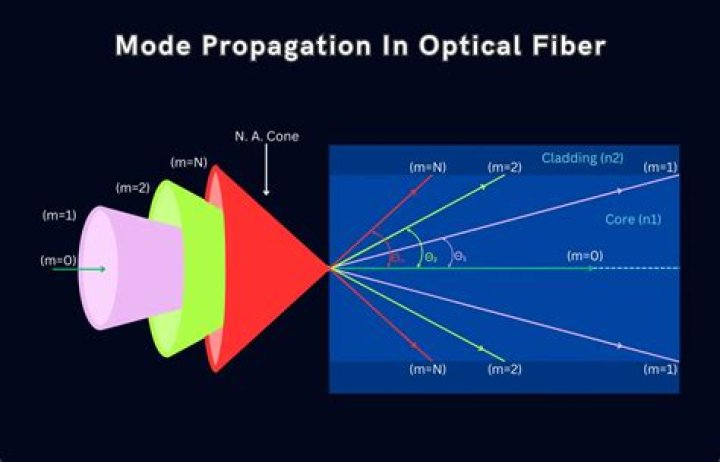 What is the mode of propagation of onion?