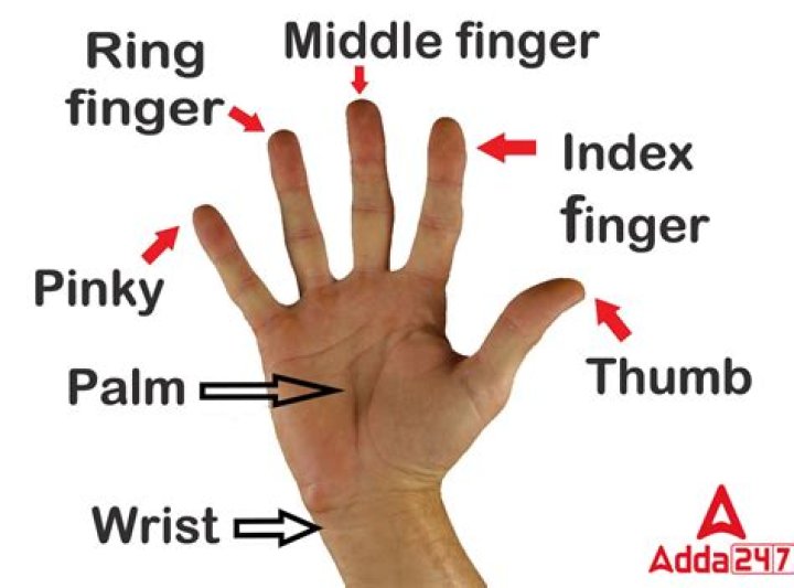 What is the name of the hand cursor?