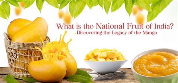 What is the national fruit for Haiti?