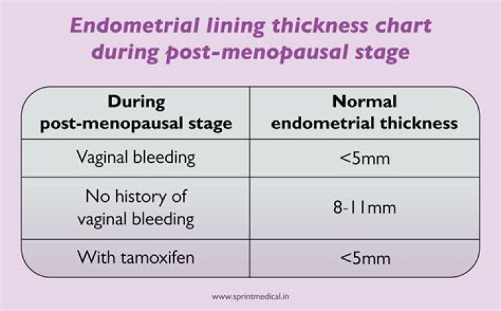 What is the normal size of a postmenopausal uterus?