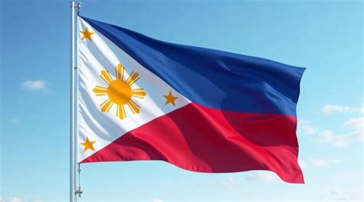 What is the Nyberg flag?