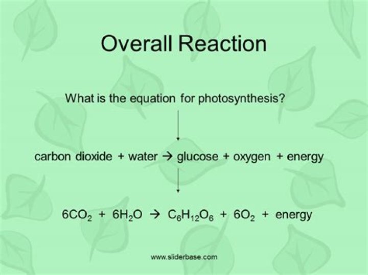 What is the overall reaction for photosynthesis