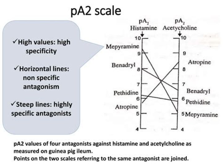 What is the pA2 of an antagonist