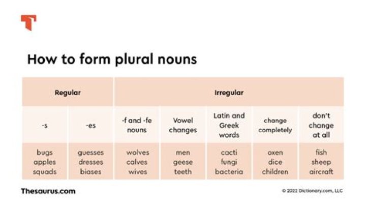 What is the plural form of pulley?