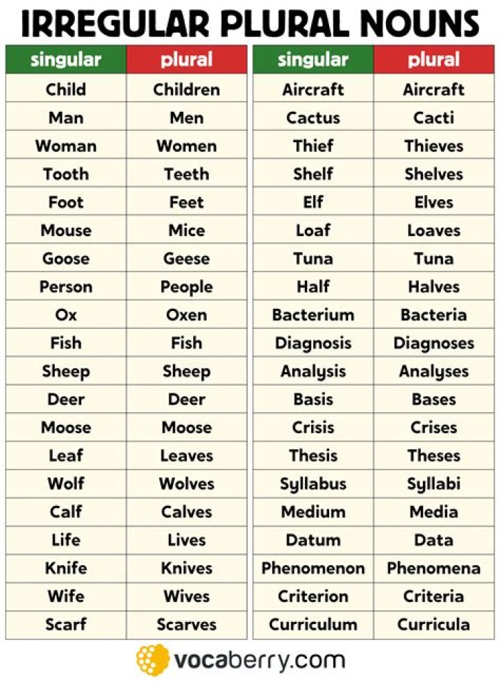 What is the plural of leaf in a dictionary?
