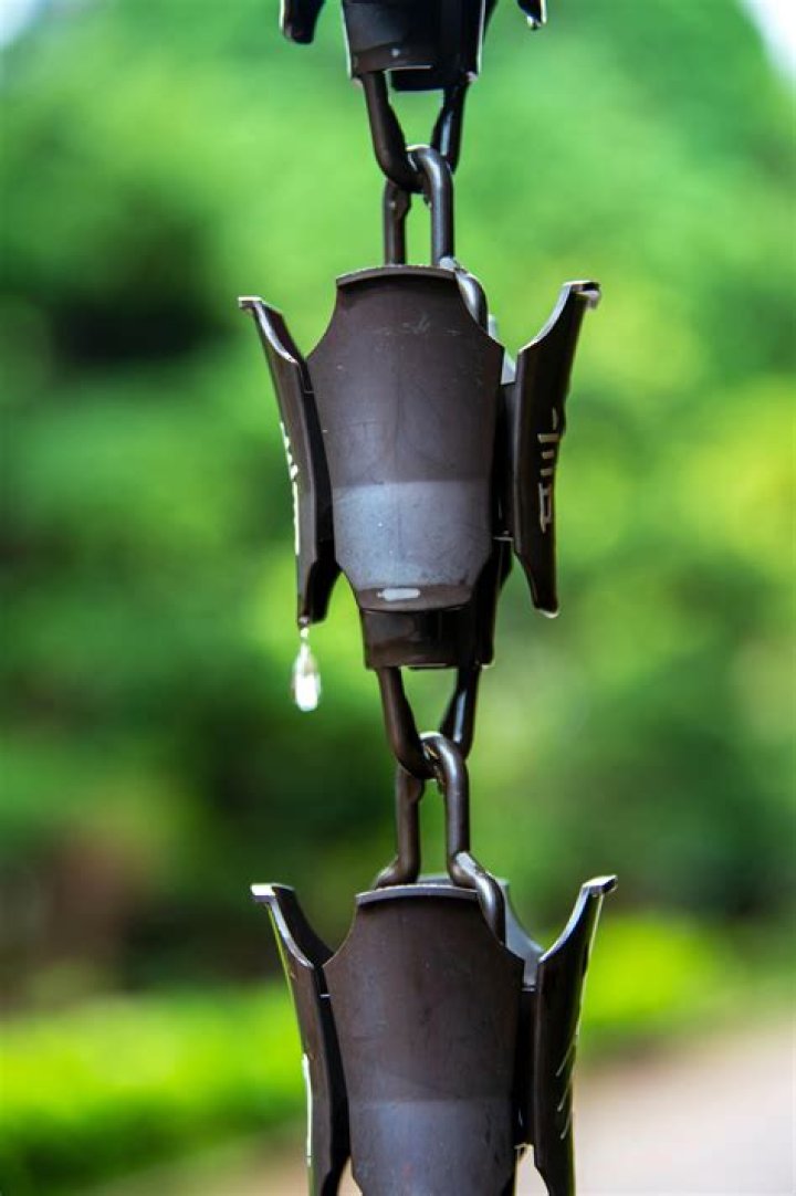 What is the purpose of a bird feeder?