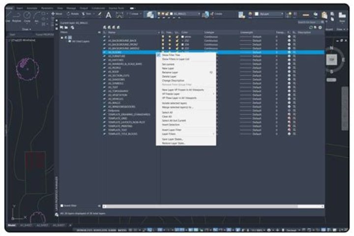 What is the purpose of Layer 0 in AutoCAD
