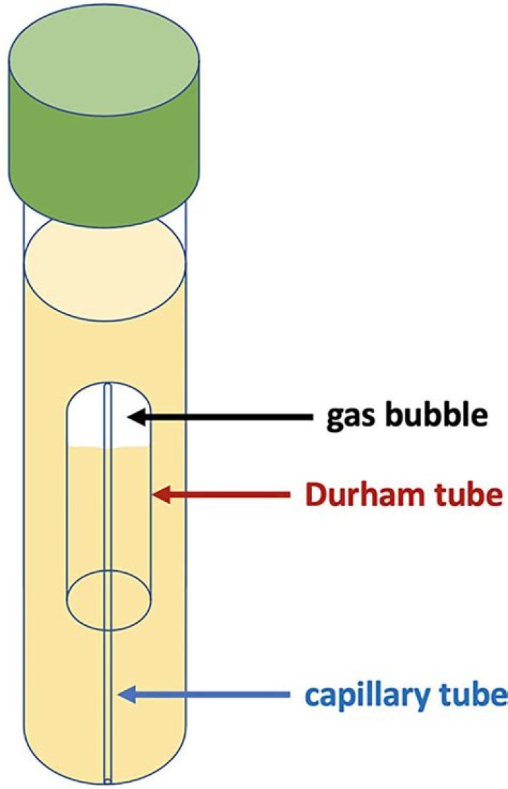 What is the purpose of the Durham tube in the nitrate broth