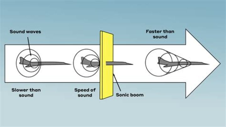 What is the sound of a sparrow called?