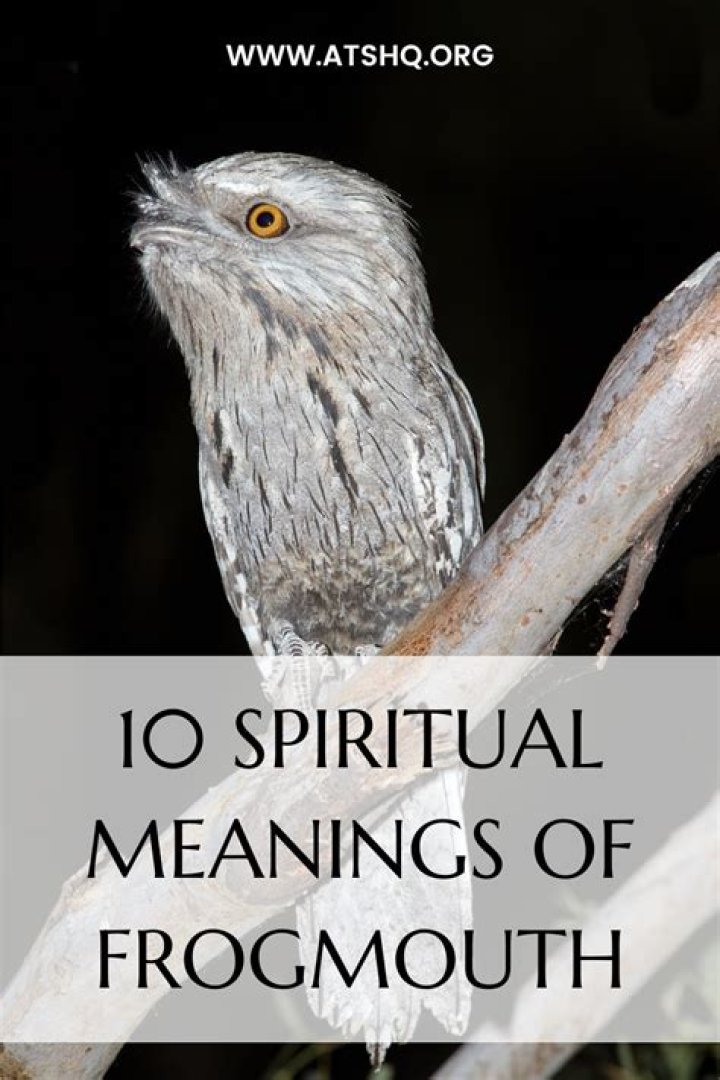 What is the spiritual meaning of Tawny Frogmouth?