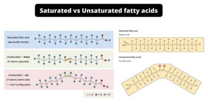 What is the structural difference between saturated monounsaturated and polyunsaturated fats