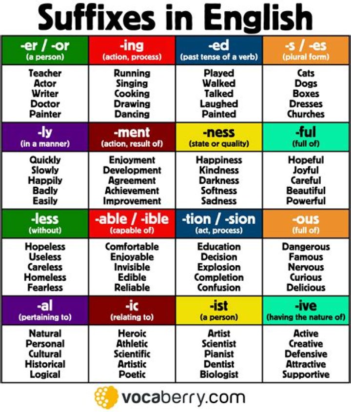 What is the suffix that means meal