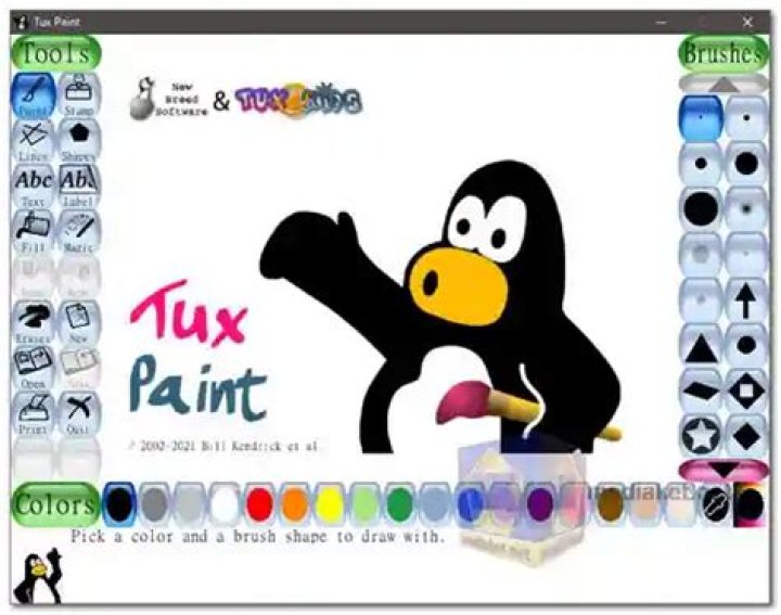 What is the use of penguin in Tux Paint?