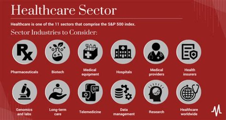 What is the voluntary sector in health care?