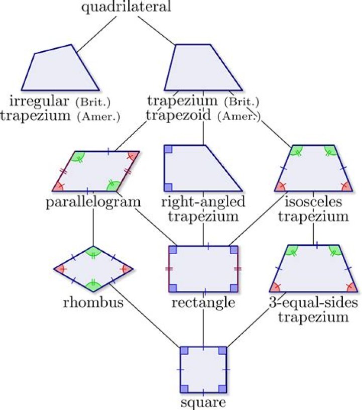 What is trapezium in phonology?