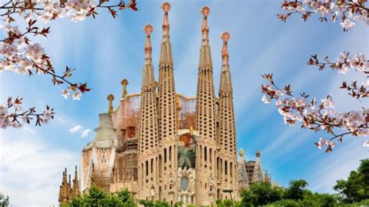 What is unique about Hexactinellida?