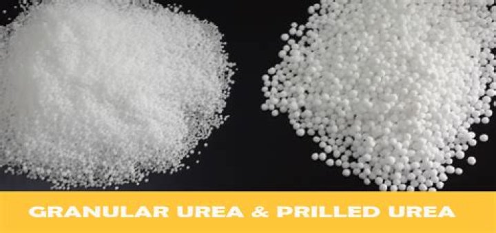 What is Urea Prill