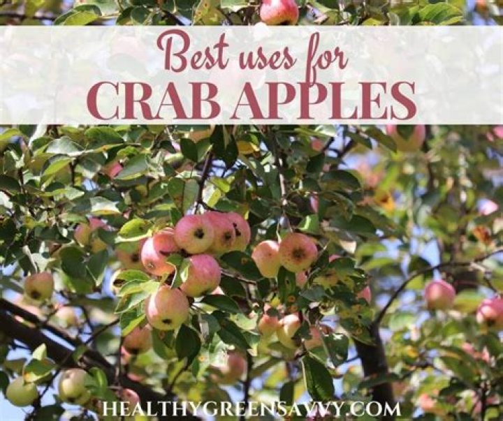 What kind of crab apples are edible