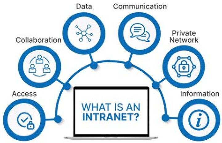What kind of website is the intranet?