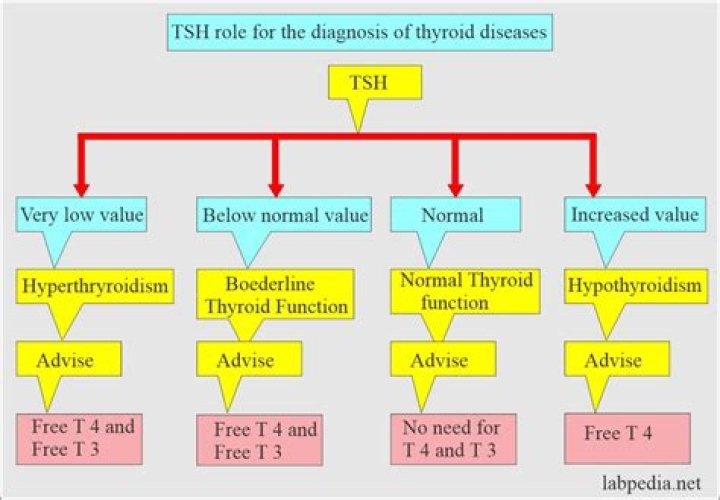 What levels of TSH indicate hyperthyroidism?