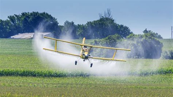 What major airline began as a crop dusting service