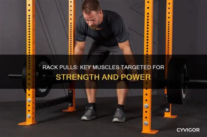 What muscles do rack pulls target?