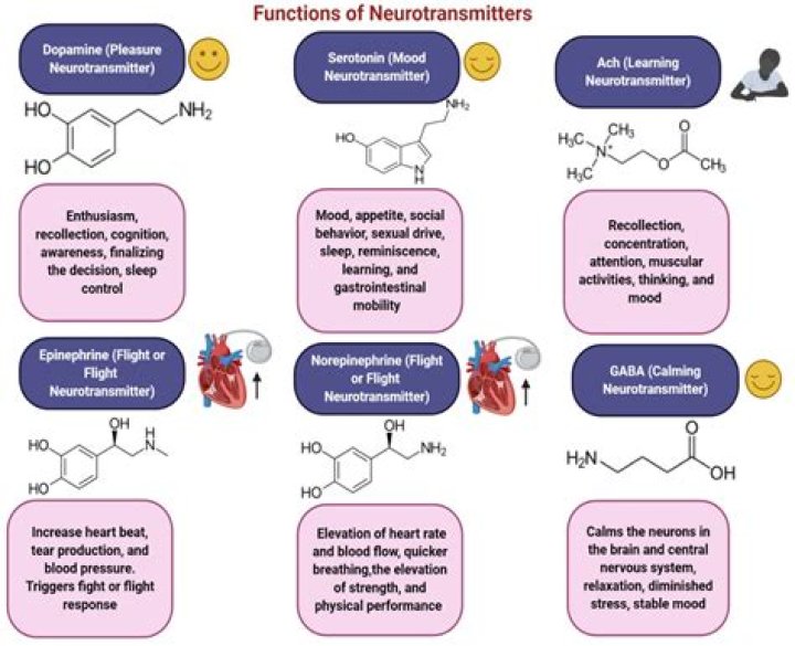 What neurotransmitter is classified as a monoamine