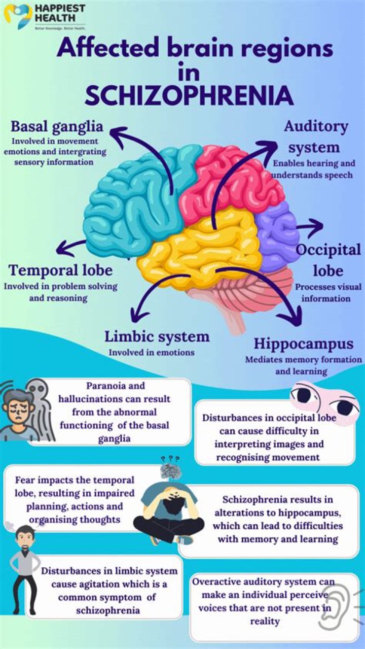 What part of the brain is responsible for schizophrenia?