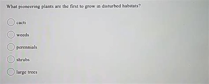 What pioneering plants are the first to grow in disturbed habitats?