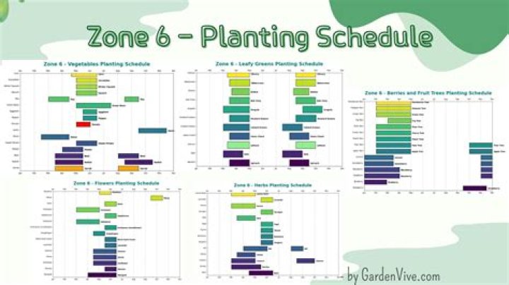 What planting zone is Martha's Vineyard?