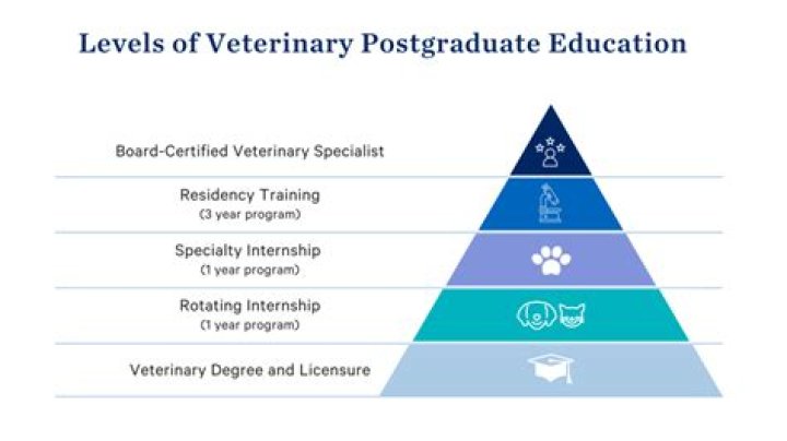 What qualifications are needed for veterinary nursing?