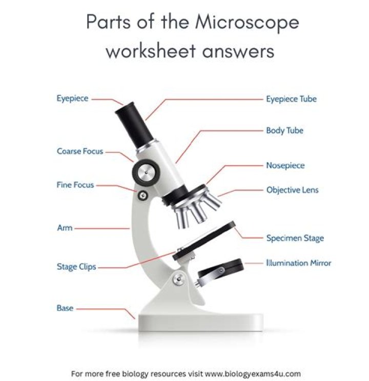 What should you try to learn as you use the microscope?