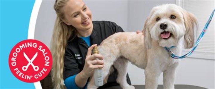 What spray do groomers use on dogs?