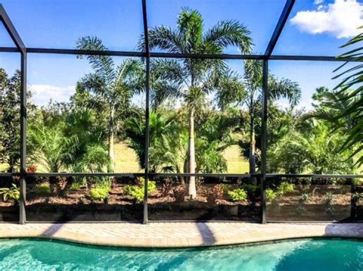 What to plant around pool cage?