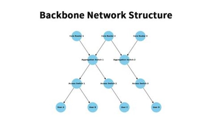 What was the first Internet backbone?