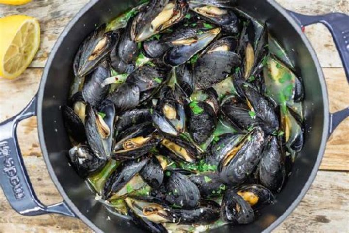 Where can I catch mussels in Melbourne