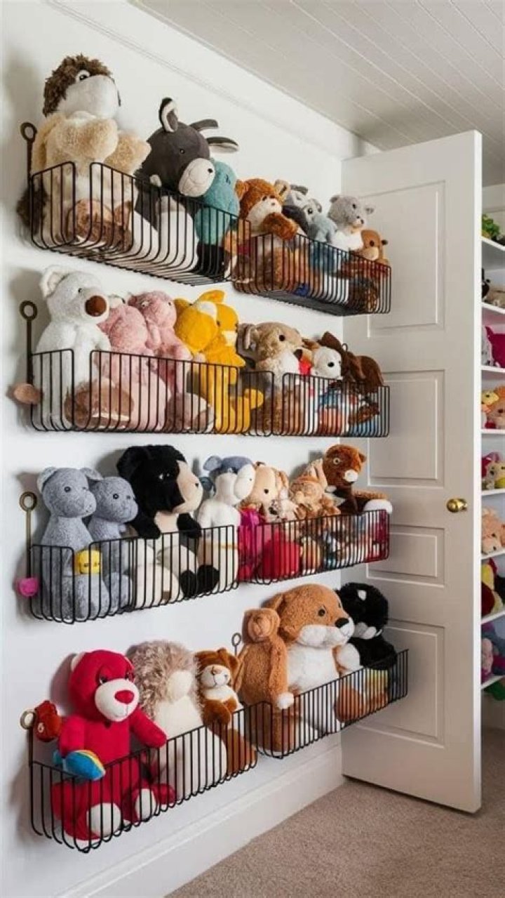 Where can I put all my stuffed animals