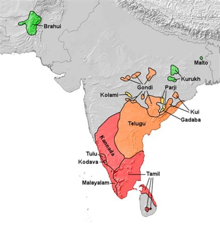 Where did Tamil language originated?