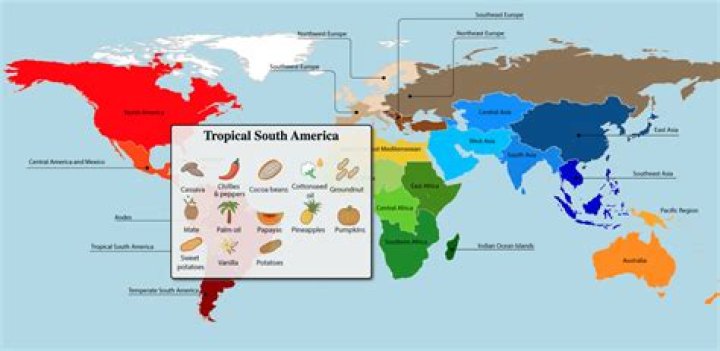 Where do Chokos grow? | ContextResponse.com