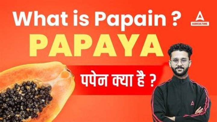 Where is papain found in the body