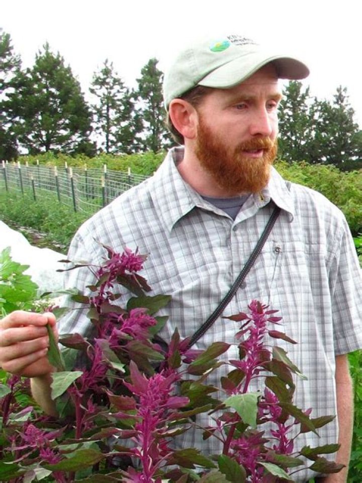 Where is quinoa grown in the United States?