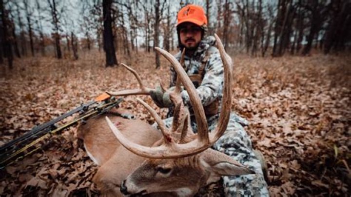 Where is the best deer hunting in California