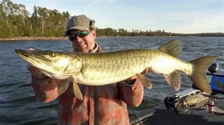 Where is the best muskie fishing in Canada?