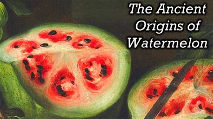 Where is the watermelon native to