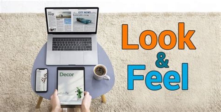 Which are 3 types of Look & Feel available in Swing?