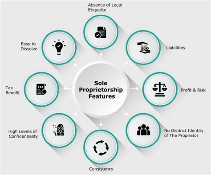 Which are sole proprietors completely responsible?
