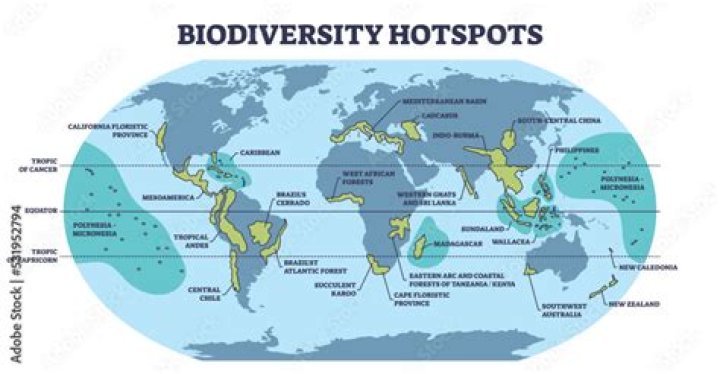Which area has the greatest diversity?