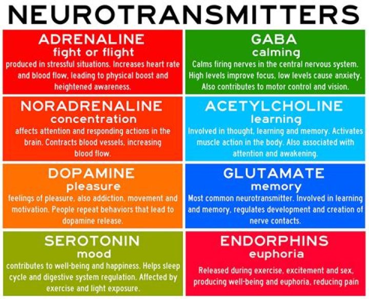 Which brain structure is responsible for neurotransmitter patterns that are implicated in sleep and arousal?
