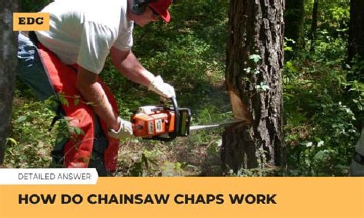 Which chainsaw chaps is best?