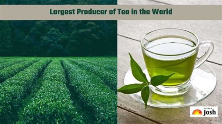 Which country is the largest producer of tea?